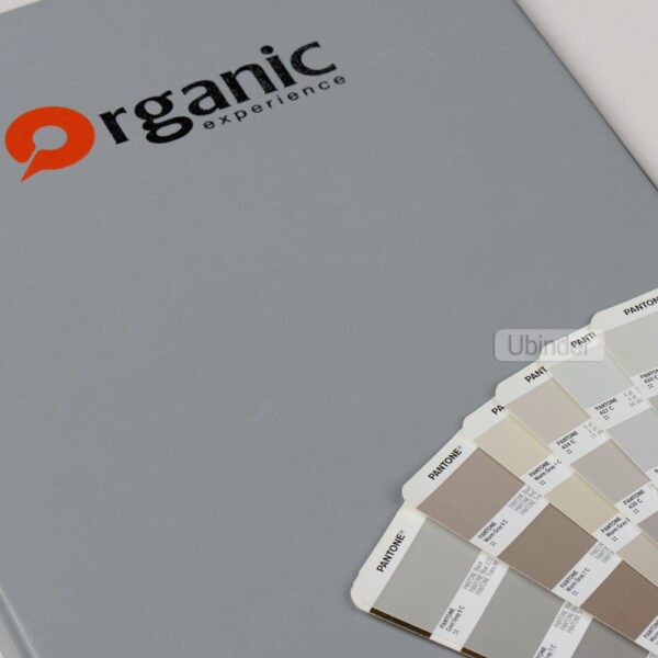 A4 gray PVC 2 D ring binder with 2c logo silkscreen printing-front-view